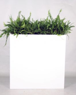Vondom white box with plants