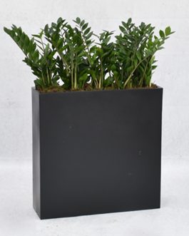 Vondom black box with plants