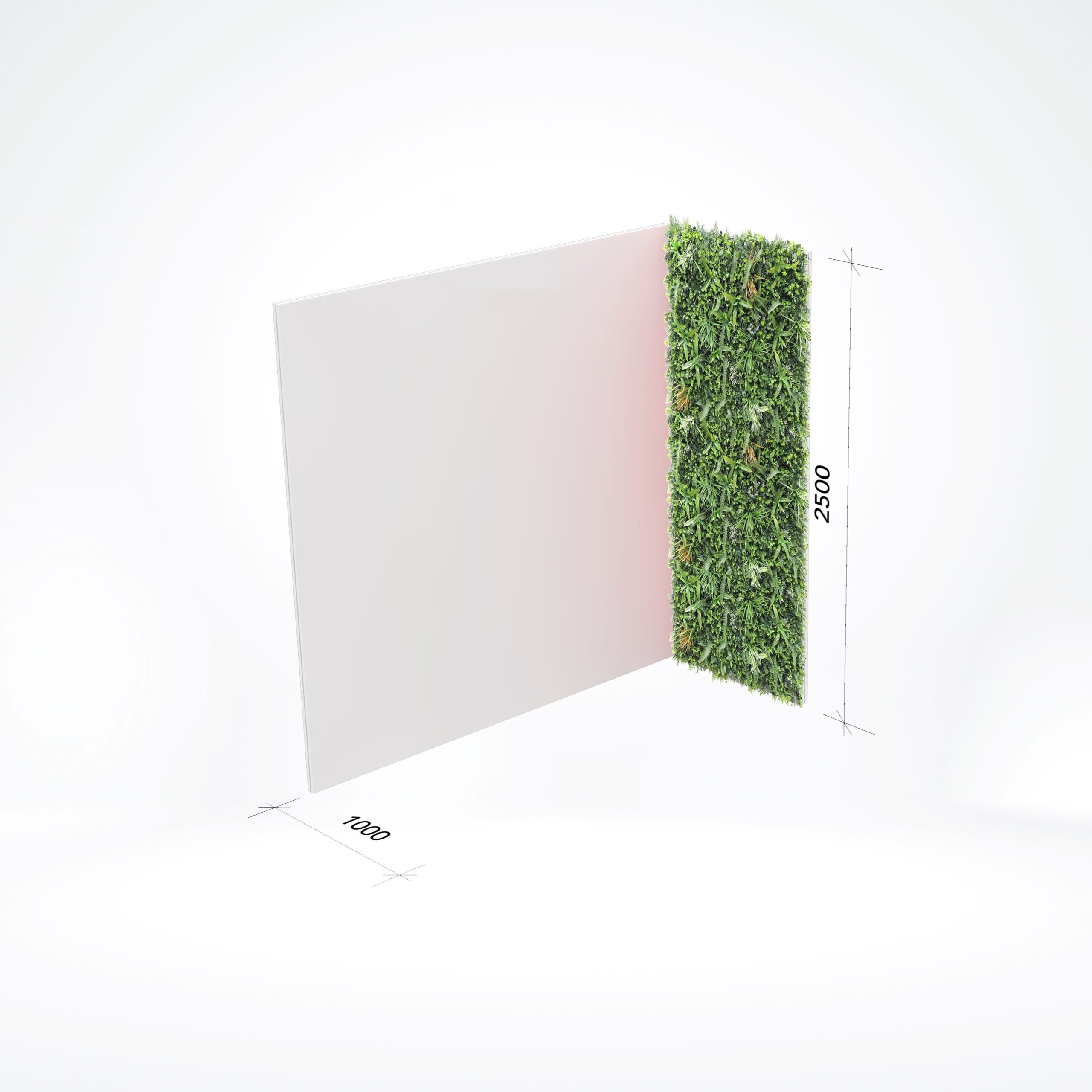 2.5x1m Plantenwand Jungle