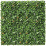 Read more about the article New product: Rent a Plant Wall