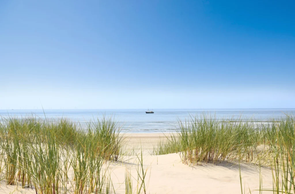 Hotel Zuiderduin – locatie – Duinen