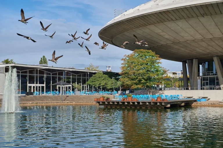 Next Nature Museum – Next Nature Museum buitenterrein – Evoluon buitenterras